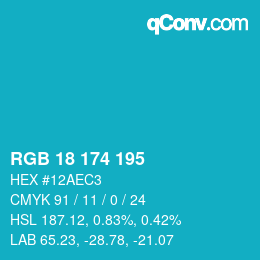 Color code: RGB 18 174 195 | qconv.com
