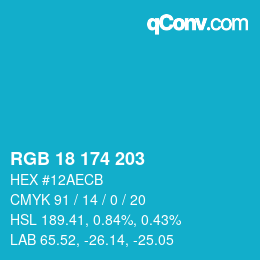 Color code: RGB 18 174 203 | qconv.com
