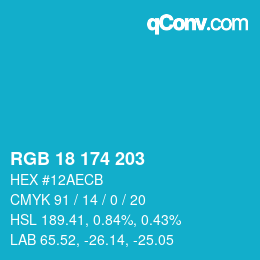 Color code: RGB 18 174 203 | qconv.com