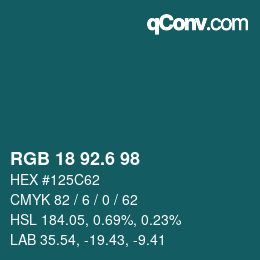 カラーコード: RGB 18 92.6 98 | qconv.com