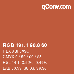 Color code: RGB 191.1 90.8 60 | qconv.com