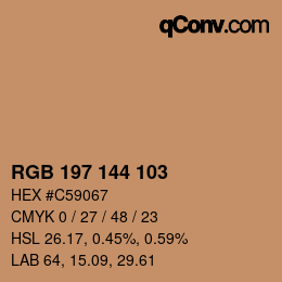 Color code: RGB 197 144 103 | qconv.com
