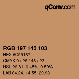 Color code: RGB 197 145 103 | qconv.com