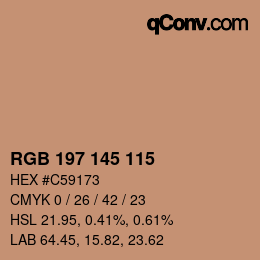Color code: RGB 197 145 115 | qconv.com