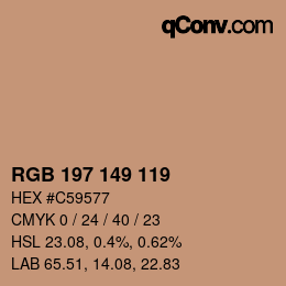 颜色代码: RGB 197 149 119 | qconv.com