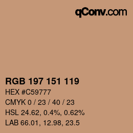 颜色代码: RGB 197 151 119 | qconv.com