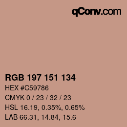 Color code: RGB 197 151 134 | qconv.com