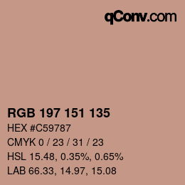 Color code: RGB 197 151 135 | qconv.com