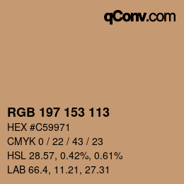 Color code: RGB 197 153 113 | qconv.com