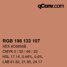 Color code: RGB 198 133 107 | qconv.com