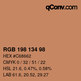 Farbcode: RGB 198 134 98 | qconv.com
