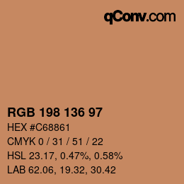Farbcode: RGB 198 136 97 | qconv.com