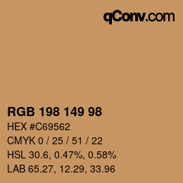 颜色代码: RGBA 198 149 98 1 | qconv.com