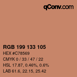 Color code: RGB 199 133 105 | qconv.com