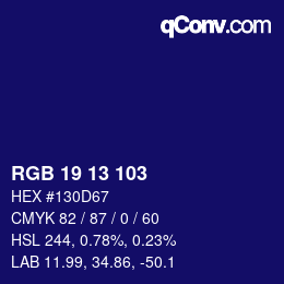 Color code: RGB 19 13 103 | qconv.com