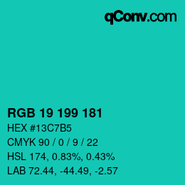 Color code: RGB 19 199 181 | qconv.com