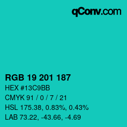 Color code: RGB 19 201 187 | qconv.com