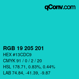 Color code: RGB 19 205 201 | qconv.com