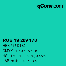 Color code: RGB 19 209 178 | qconv.com