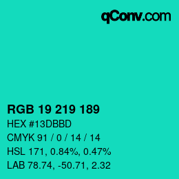 Color code: RGB 19 219 189 | qconv.com