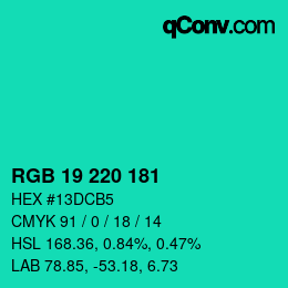 Color code: RGB 19 220 181 | qconv.com