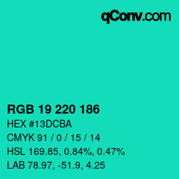 Color code: RGB 19 220 186 | qconv.com