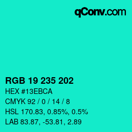 Color code: RGB 19 235 202 | qconv.com