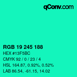 Color code: RGB 19 245 188 | qconv.com