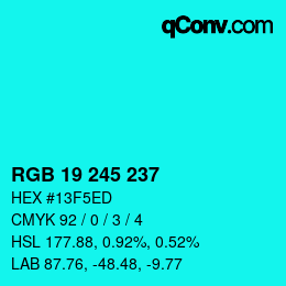 Color code: RGB 19 245 237 | qconv.com