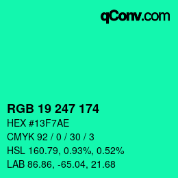 Color code: RGB 19 247 174 | qconv.com