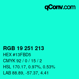 Color code: RGB 19 251 213 | qconv.com