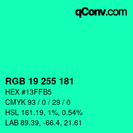 Color code: RGB 19 255 181 | qconv.com