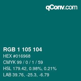 Color code: RGB 1 105 104 | qconv.com