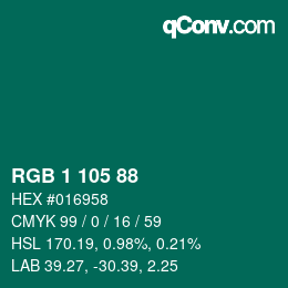Color code: RGB 1 105 88 | qconv.com