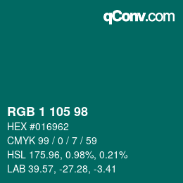 Color code: RGB 1 105 98 | qconv.com