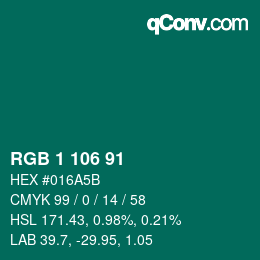 Color code: RGB 1 106 91 | qconv.com