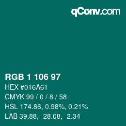 Color code: RGB 1 106 97 | qconv.com