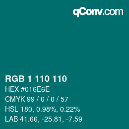 Color code: RGB 1 110 110 | qconv.com