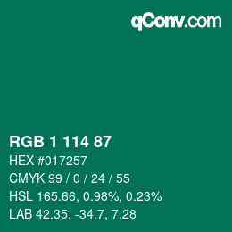 Color code: RGB 1 114 87 | qconv.com