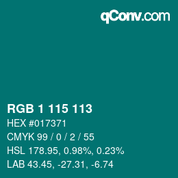 Color code: RGB 1 115 113 | qconv.com