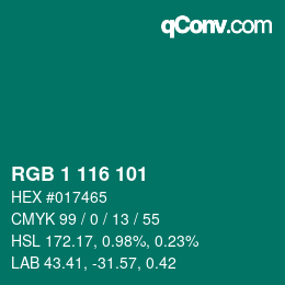 Color code: RGB 1 116 101 | qconv.com