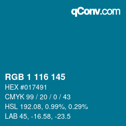 Color code: RGB 1 116 145 | qconv.com