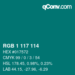 Color code: RGB 1 117 114 | qconv.com