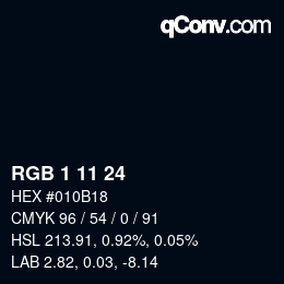 カラーコード: RGB 1 11 24 | qconv.com