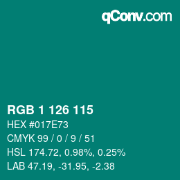 Color code: RGB 1 126 115 | qconv.com
