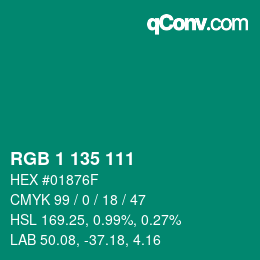 Color code: RGB 1 135 111 | qconv.com