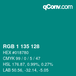 Color code: RGB 1 135 128 | qconv.com