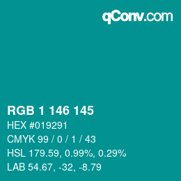 Color code: RGB 1 146 145 | qconv.com