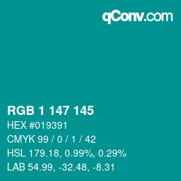 Color code: RGB 1 147 145 | qconv.com
