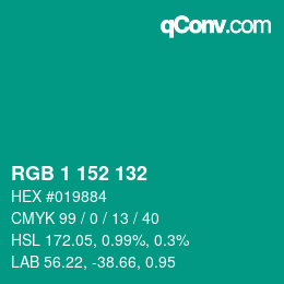 颜色代码: RGB 1 152 132 | qconv.com